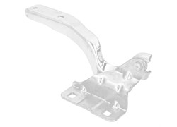 AMORTIZER PET.VRATA NISSAN QASHQAI 07-10